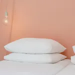 Achter De 4* דן בוש